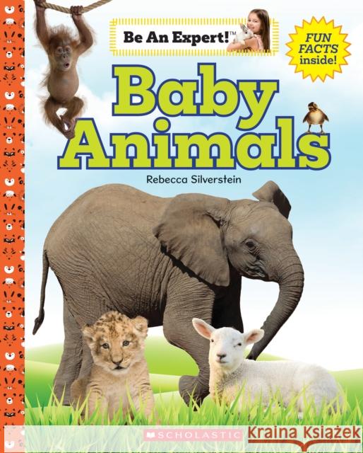 Baby Animals Rebecca Silverstein 9781338797848 Scholastic Inc.