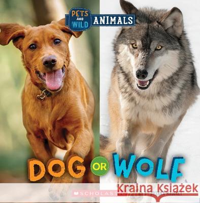 Dog or Wolf (Wild World: Pets and Wild Animals) Brenna Maloney 9781338899801 Scholastic Press