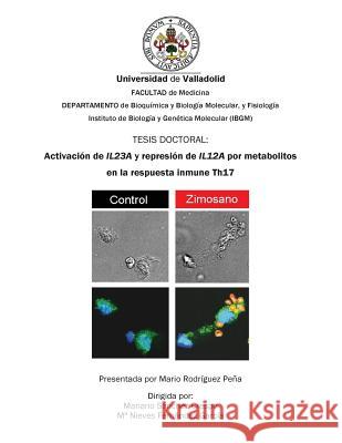 Activación de Il23a Y Represión de Il12a Por Metabolitos En La Respuesta Inmune Th17 Rodriguez Pena, Mario 9781339531007 Proquest LLC