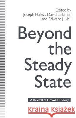 Beyond the Steady State: A Revival of Growth Theory Halevi, Joseph 9781349109524 Palgrave MacMillan