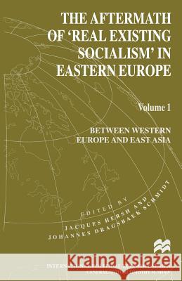 The Aftermath of 'Real Existing Socialism' in Eastern Europe: Volume 1: Between Western Europe and East Asia Hersh, Jacques 9781349141579 Palgrave MacMillan