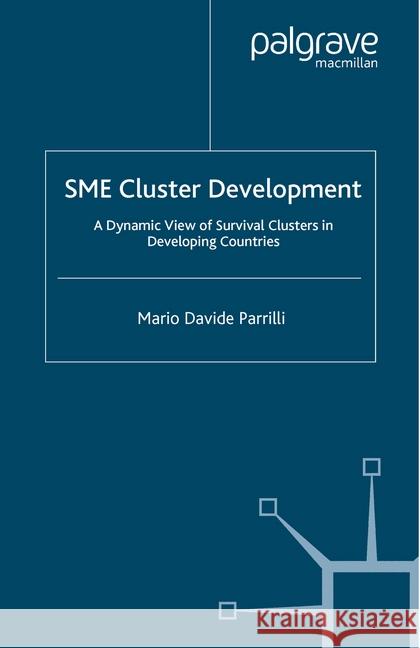 Sme Cluster Development: A Dynamic View of Survival Clusters in Developing Countries Parrilli, M. 9781349283606 Palgrave Macmillan