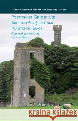 Positioning Gender and Race in (Post)Colonial Plantation Space: Connecting Ireland and the Caribbean Stoddard, E. 9781349295463 Palgrave MacMillan