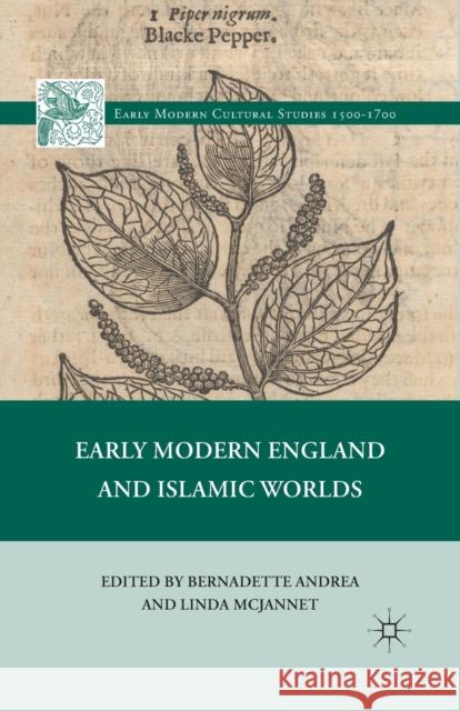Early Modern England and Islamic Worlds Bernadette Andrea Linda McJannet L. McJannet 9781349296675 Palgrave MacMillan