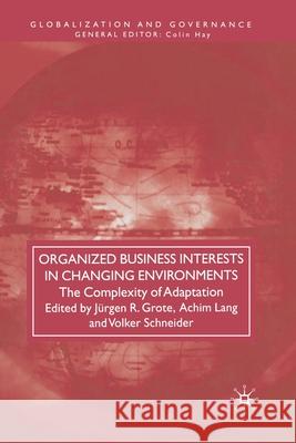 Organized Business Interests in Changing Environments: The Complexity of Adaptation Grote, J. 9781349303588 Palgrave Macmillan