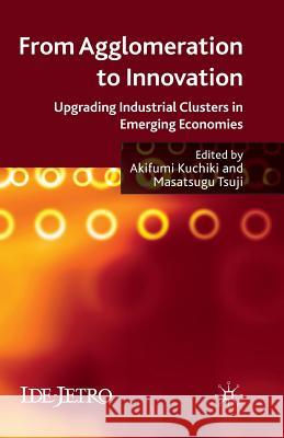 From Agglomeration to Innovation: Upgrading Industrial Clusters in Emerging Economies Kuchiki, A. 9781349313204 Palgrave MacMillan