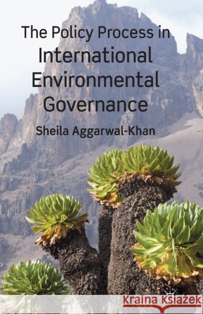 The Policy Process in International Environmental Governance S. Aggarwal-Khan   9781349327157 Palgrave Macmillan