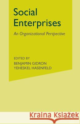 Social Enterprises: An Organizational Perspective Gidron, B. 9781349347575 Palgrave Macmillan