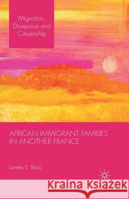 African Immigrant Families in Another France Loretta E. Bass L. Bass 9781349348541 Palgrave MacMillan