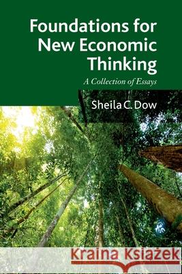 Foundations for New Economic Thinking: A Collection of Essays Dow, S. 9781349350254 Palgrave Macmillan