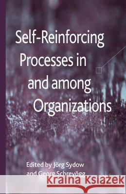 Self-Reinforcing Processes in and Among Organizations Sydow, J. 9781349352074 Palgrave Macmillan