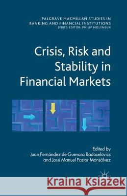 Crisis, Risk and Stability in Financial Markets Juan Fernandez de Guevara Radoselovics Jose Pastor Monsalvez  9781349433674 Palgrave Macmillan