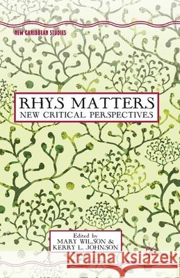 Rhys Matters: New Critical Perspectives Wilson, M. 9781349460274 Palgrave MacMillan