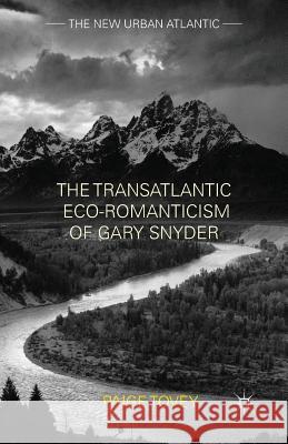 The Transatlantic Eco-Romanticism of Gary Snyder Paige Tovey P. Tovey 9781349464746 Palgrave MacMillan