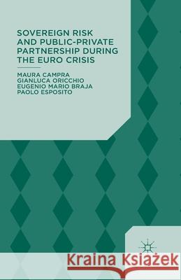 Sovereign Risk and Public-Private Partnership During the Euro Crisis M. Campra G. Oricchio E. Braja 9781349482733 Palgrave Macmillan