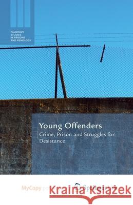 Young Offenders: Crime, Prison and Struggles for Desistance M. Halsey S. Deegan 9781349489206 Palgrave MacMillan