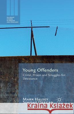 Young Offenders: Crime, Prison and Struggles for Desistance Halsey, M. 9781349489213 Palgrave Macmillan