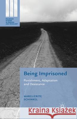 Being Imprisoned: Punishment, Adaptation and Desistance Schinkel, M. 9781349494606