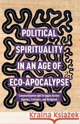 Political Spirituality in an Age of Eco-Apocalypse: Essays in Communication and Struggle Across Species, Cultures, and Religions Perkinson, James W. 9781349701087