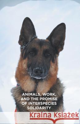 Animals, Work, and the Promise of Interspecies Solidarity Kendra Coulter 9781349718924