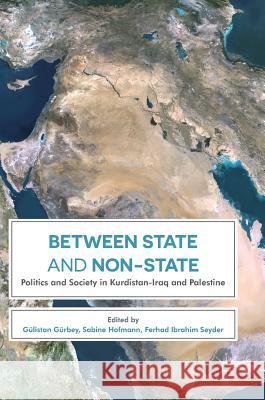 Between State and Non-State: Politics and Society in Kurdistan-Iraq and Palestine Gürbey, Gülistan 9781349950652