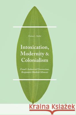 Intoxication, Modernity, and Colonialism: Freud's Industrial Unconscious, Benjamin's Hashish Mimesis Bjelic, Dusan I. 9781349950720 Palgrave MacMillan