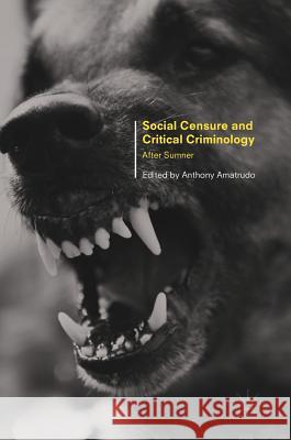 Social Censure and Critical Criminology: After Sumner Amatrudo, Anthony 9781349952205 Palgrave MacMillan