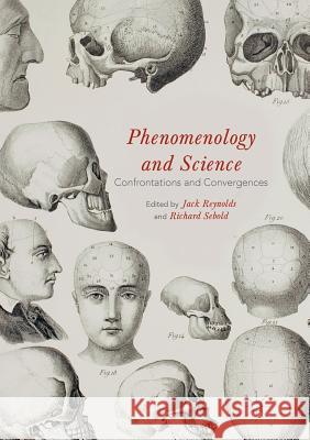 Phenomenology and Science: Confrontations and Convergences Reynolds, Jack 9781349956647 Palgrave MacMillan