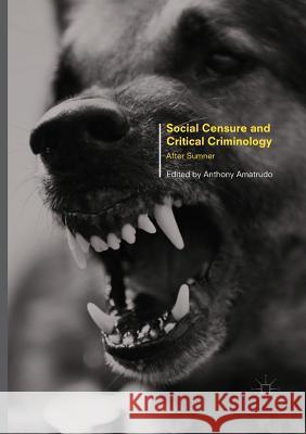 Social Censure and Critical Criminology: After Sumner Amatrudo, Anthony 9781349957651