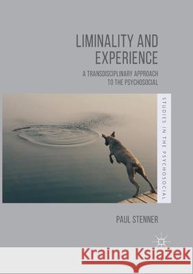 Liminality and Experience: A Transdisciplinary Approach to the Psychosocial Paul Stenner   9781349960408 Palgrave Macmillan