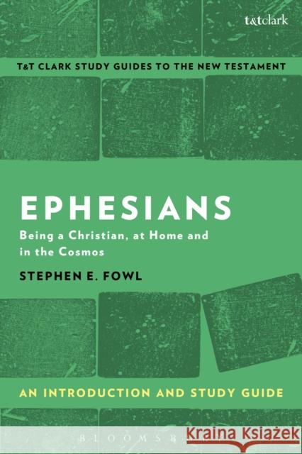 Ephesians: An Introduction and Study Guide: Being a Christian, at Home and in the Cosmos Stephen E. Fowl Benny Liew 9781350008663 T & T Clark International