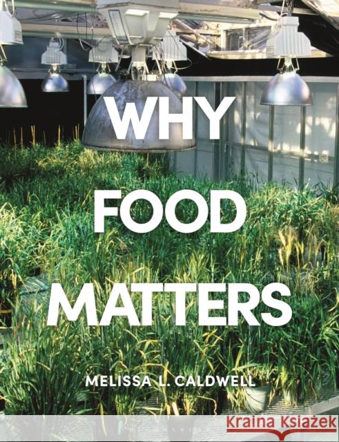 Why Food Matters: Critical Debates in Food Studies Caldwell, Melissa 9781350011427 Bloomsbury Academic