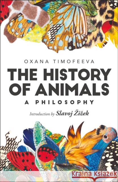 The History of Animals: A Philosophy Oxana Timofeeva Slavoj Zizek 9781350012011 Bloomsbury Publishing PLC