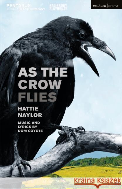 As the Crow Flies Hattie Naylor 9781350042452 Bloomsbury Methuen Drama