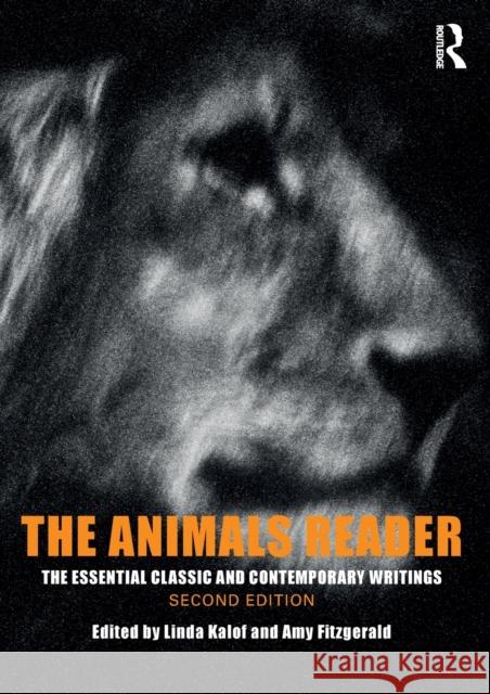 The Animals Reader: The Essential Classic and Contemporary Writings Kalof, Linda 9781350066885