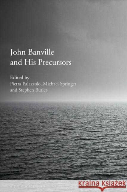 John Banville and His Precursors Pietra Palazzolo Michael Springer Stephen Butler 9781350084520