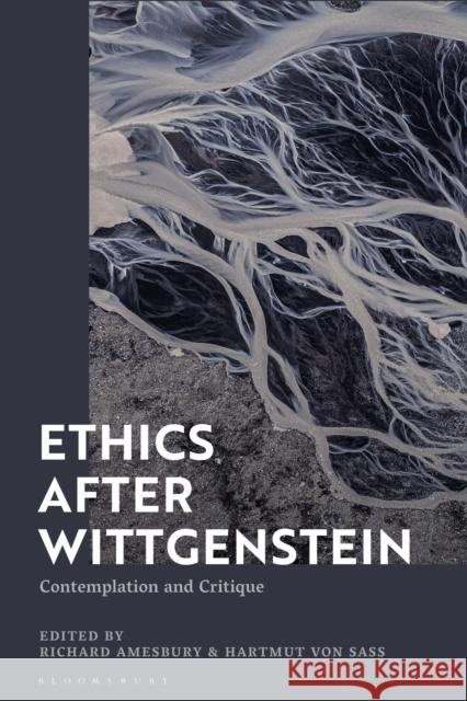 Ethics After Wittgenstein: Contemplation and Critique Amesbury, Richard 9781350087149 Bloomsbury Academic