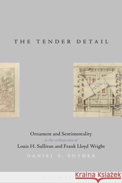 The Tender Detail: Ornament and Sentimentality in the Architecture of Louis H. Sullivan and Frank Lloyd Wright Dan Snyder 9781350099616 Bloomsbury Visual Arts