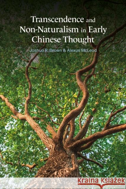 Transcendence and Non-Naturalism in Early Chinese Thought Alexus McLeod Joshua R. Brown 9781350204034 Bloomsbury Academic