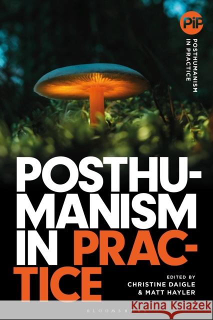 Posthumanism in Practice  9781350293847 Bloomsbury Publishing PLC