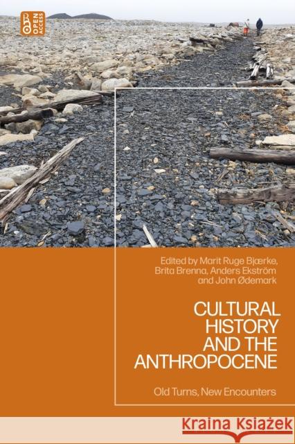 Cultural History and the Anthropocene: Old Turns, New Encounters Anders Ekstr?m Marit Ruge Bj?rke Brita Brenna 9781350532601 Bloomsbury Academic