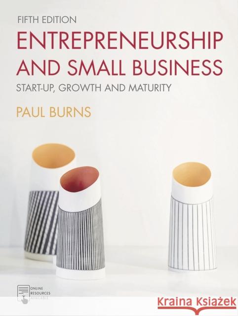Entrepreneurship and Small Business Burns, Paul 9781352012491