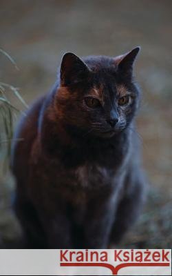 Kid's Petite Barn Cat Journal: Volume One Wunderlich, Jordan 9781364003029 Blurb