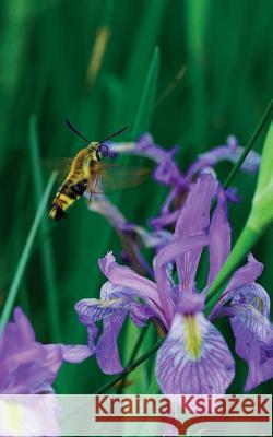 Petite Wild Blue Iris Journal Jordan Wunderlich 9781364011345 Blurb