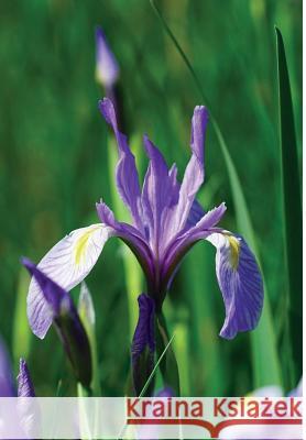 Wild Blue Iris Journal Jordan Wunderlich 9781364011550 Blurb