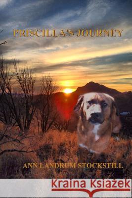 Priscilla's Journey Ann Landrum Stockstill 9781365102479 Lulu.com