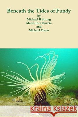 Beneath the Tides of Fundy Michael Strong Maria-Ines Buzeta Michael Owen 9781365182990