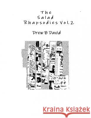 The Salad Rhapsodies Vol. 2 Drew B. David 9781365601729