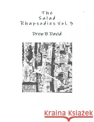 The Salad Rhapsodies, Volume 3 Drew B. David 9781365851223