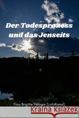 Der Todesprozess und das Jenseits (Paperback) P 9781365871573 Lulu.com